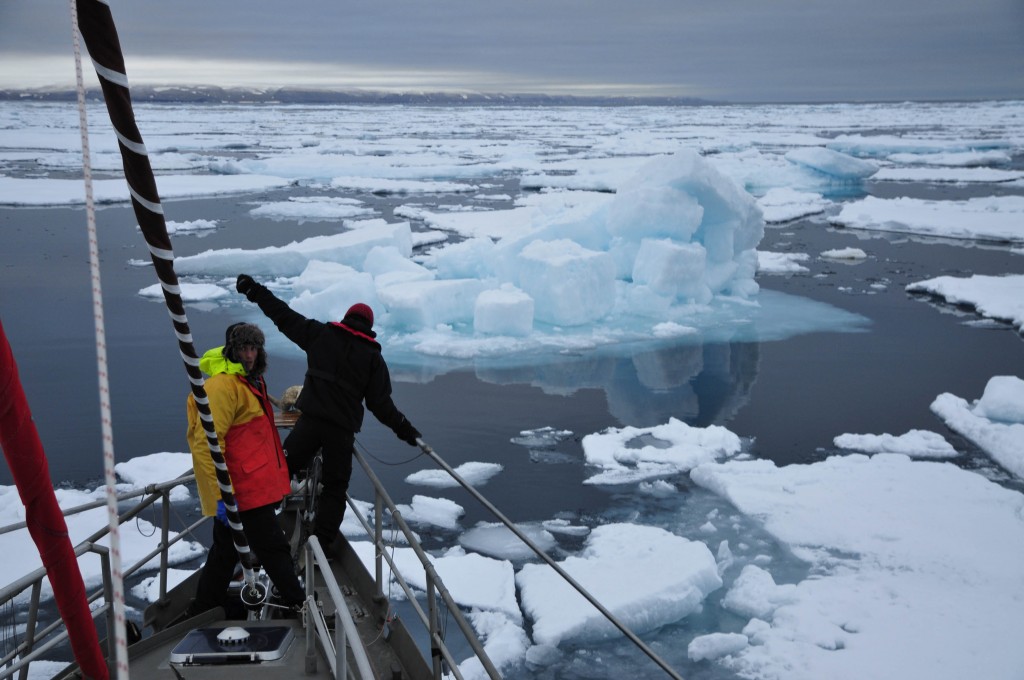 Arktika dans le Prince Regent Inlet J.Ducoin_JDU3061Ra